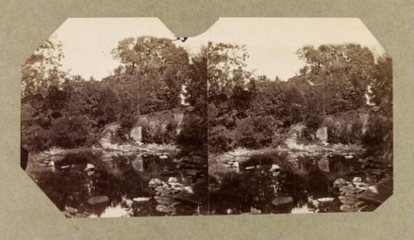 Clementina, Lady Hawarden, Photograph