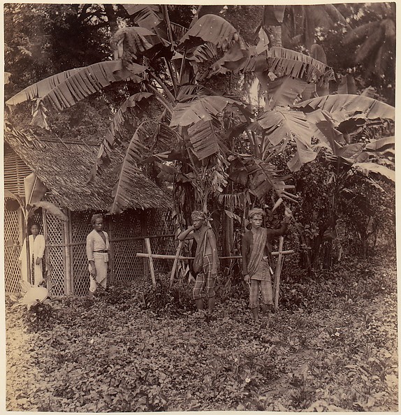 Unknown, Batavia