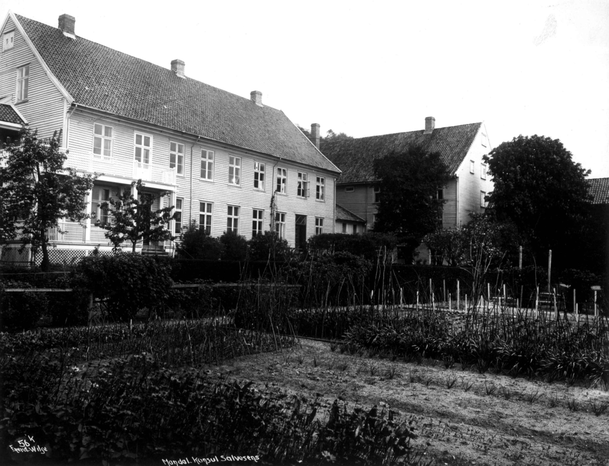 Anders Beer Wilse, Mandal 1