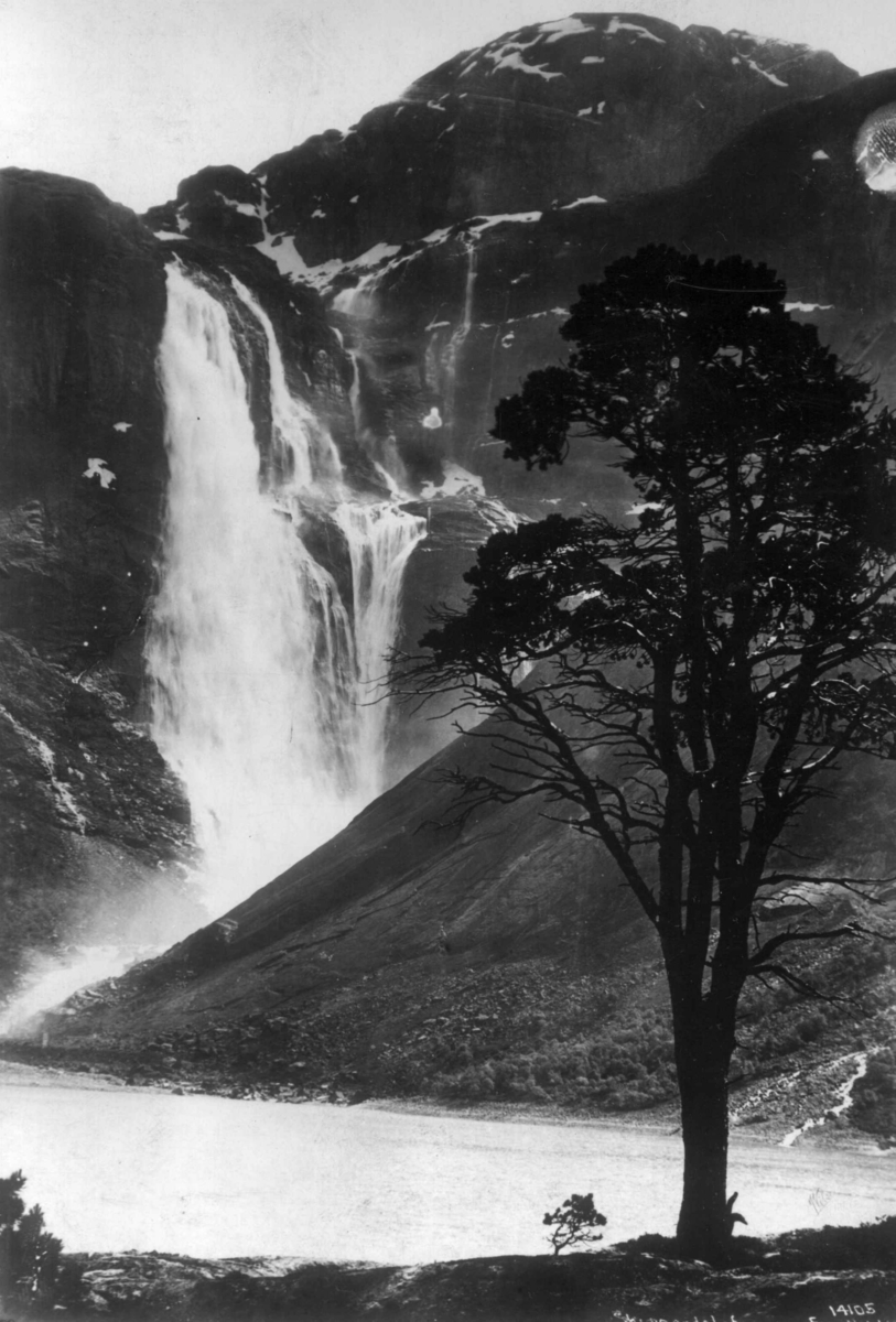 Anders Beer Wilse, Wilse original, Skjeggedalsfossen, Ringedalsvatnet