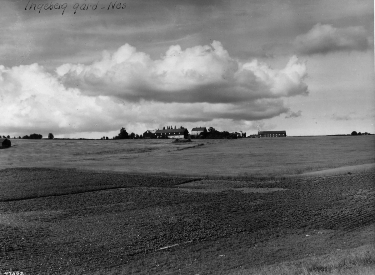Anders Beer Wilse, Ingeberg gård Jordbruk