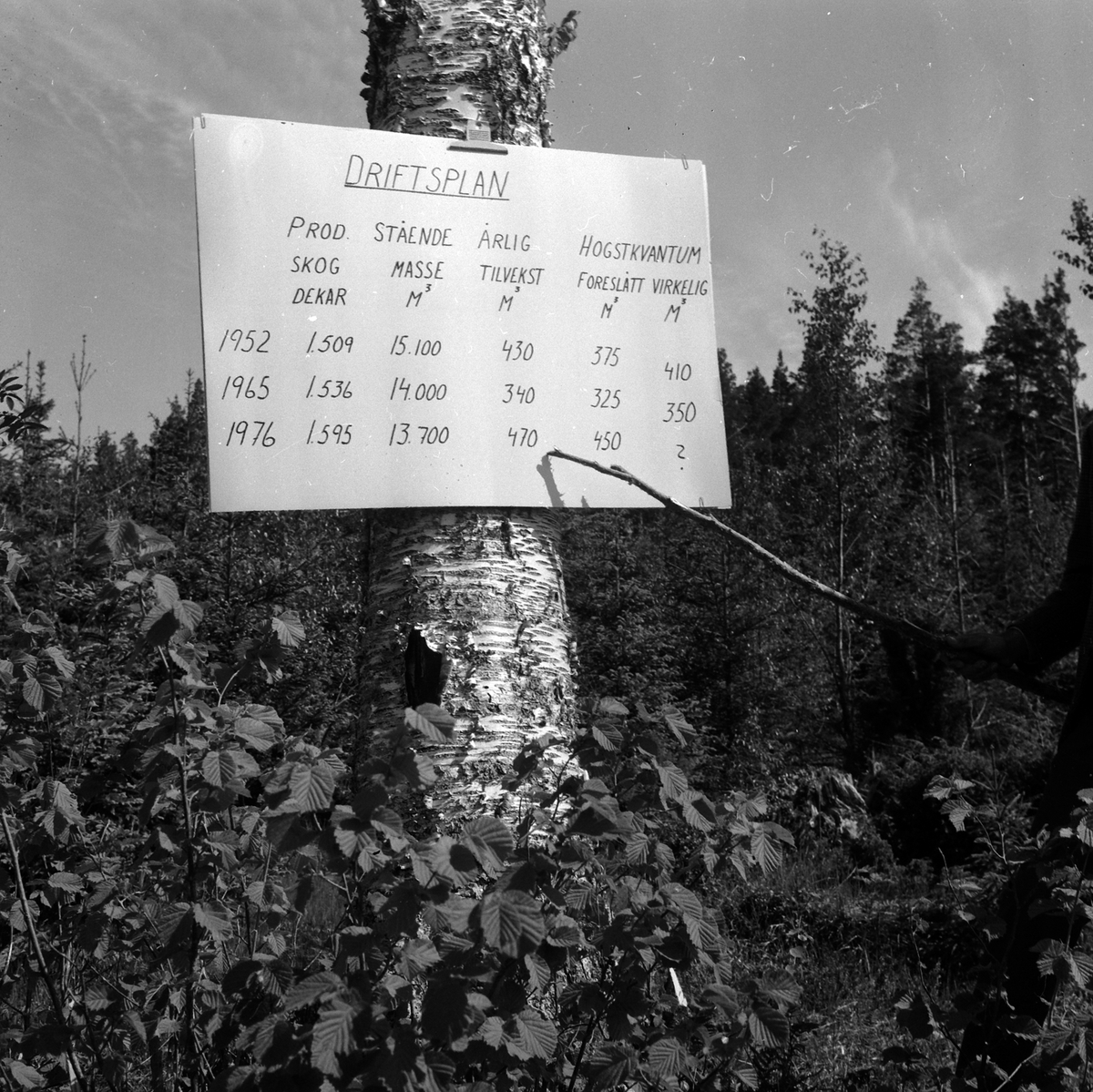 Adolf Skjegstad, ASK-02533