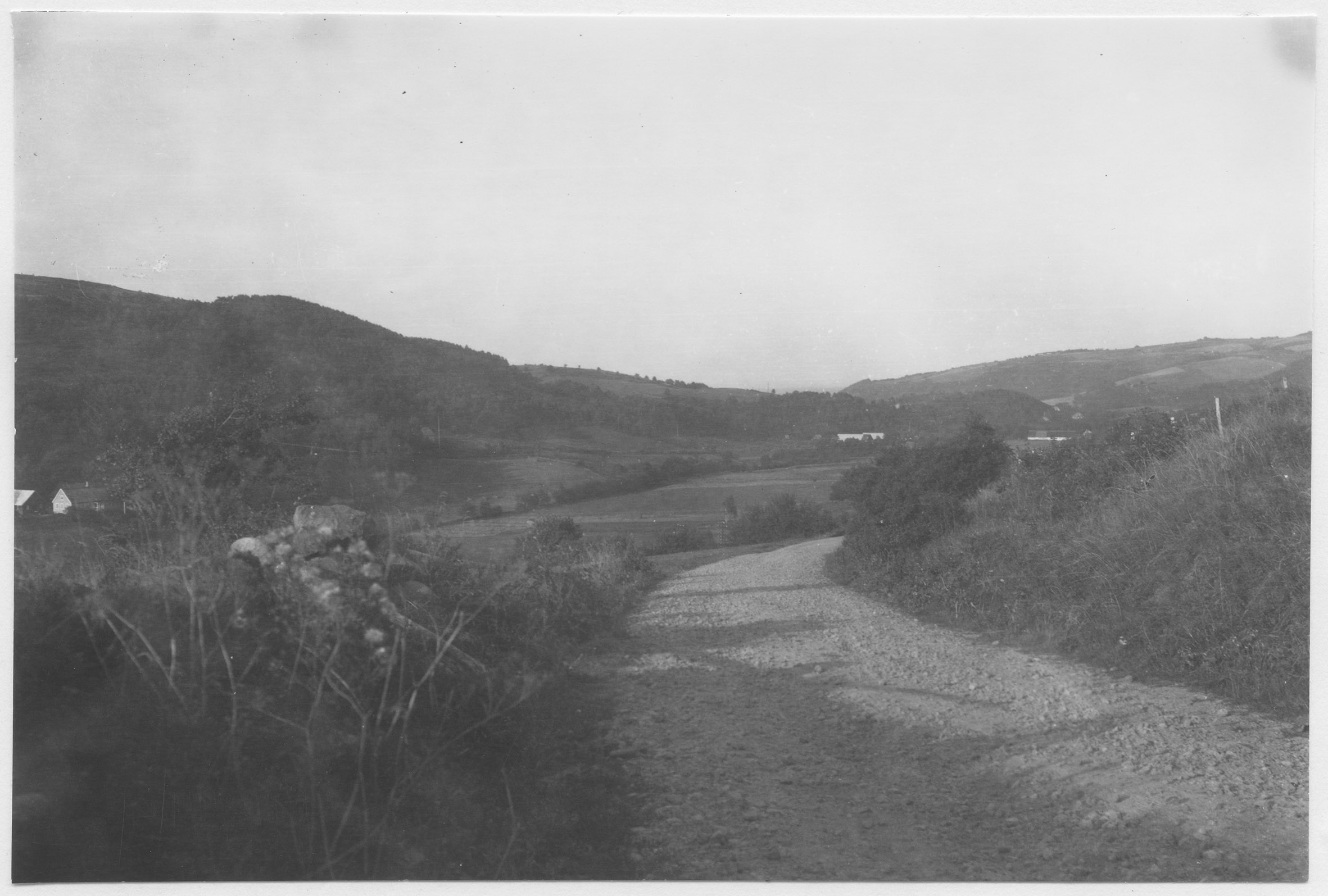 Mårten Sjöbeck, Nötte