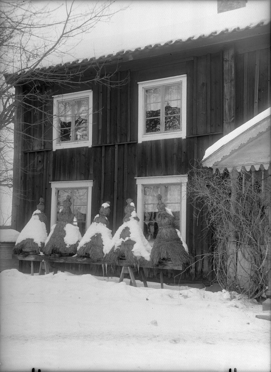 Paul Sandberg, Nyvlastugan - nu på friluftsmuseet Disagården - på ursprunglig plats