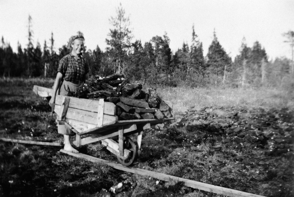 Anno Domkirkeodden, VANG ALLMENNING, TORVMYRPRODUKSJON, UKJENT KVINNE MED TRILLEBÅR