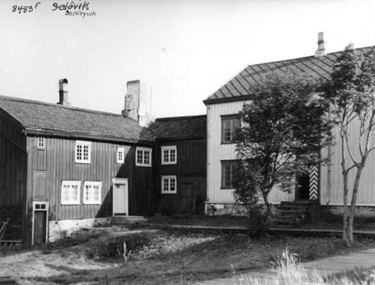 Anders Beer Wilse, -5832