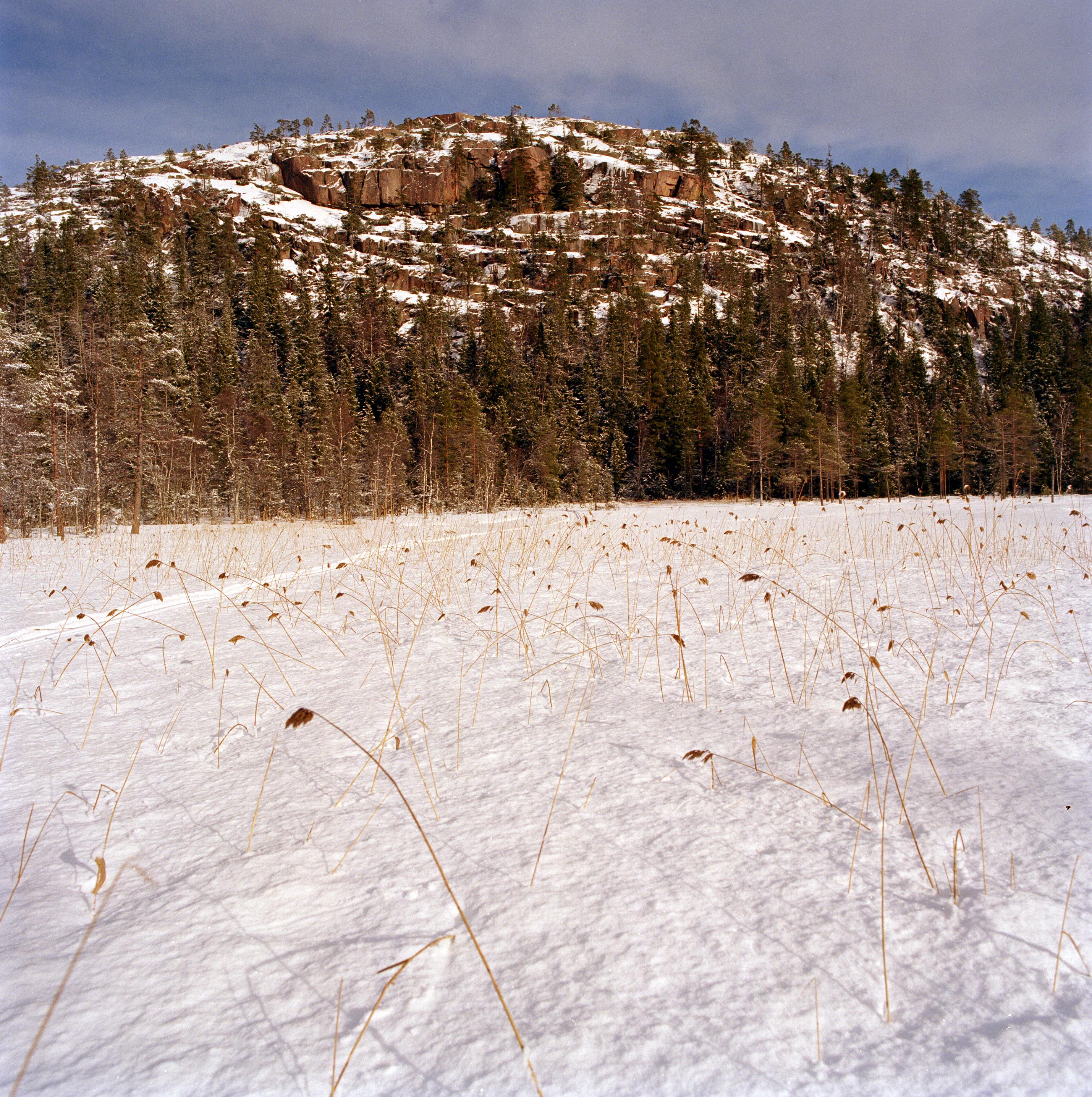 Bengt A Lundberg, Skuleskogens Nationalpark