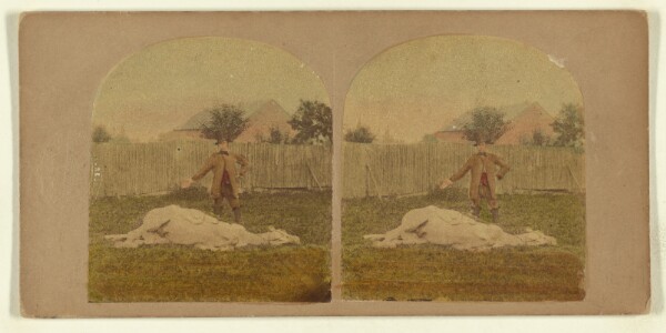 London Stereoscopic and Photographic Company, [Stereoscopic Illustration of Horse Training.]
