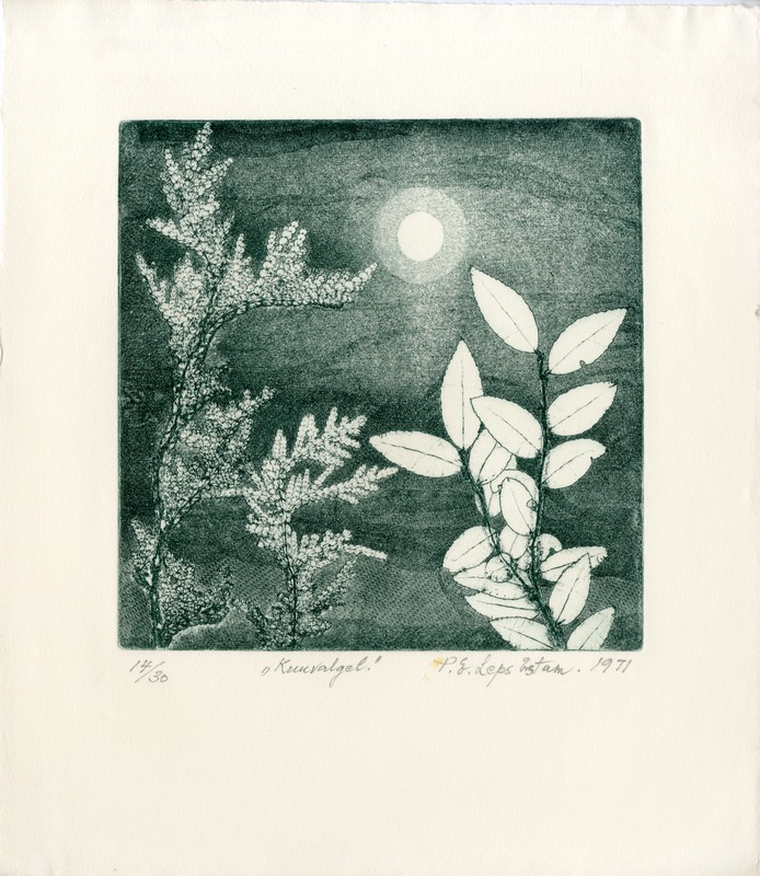 Pauline Elfriede (author) Leps-Estam, moonlight/By Moonlight