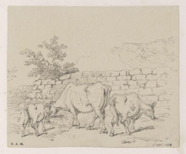 George Chinnery, Cattle by a wall