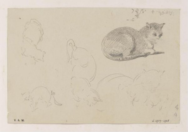 George Chinnery, A cat, with related sketches