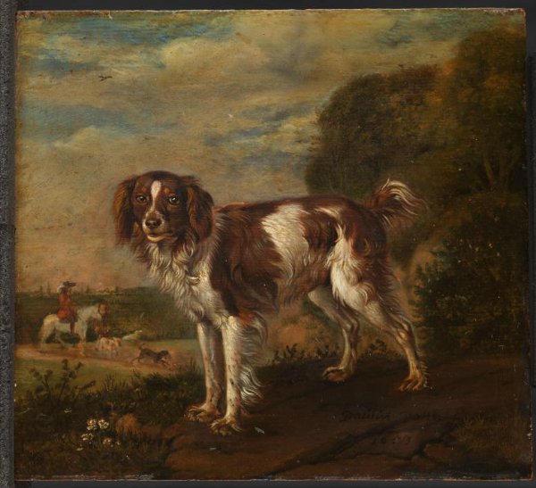 Paulus Potter, A spaniel