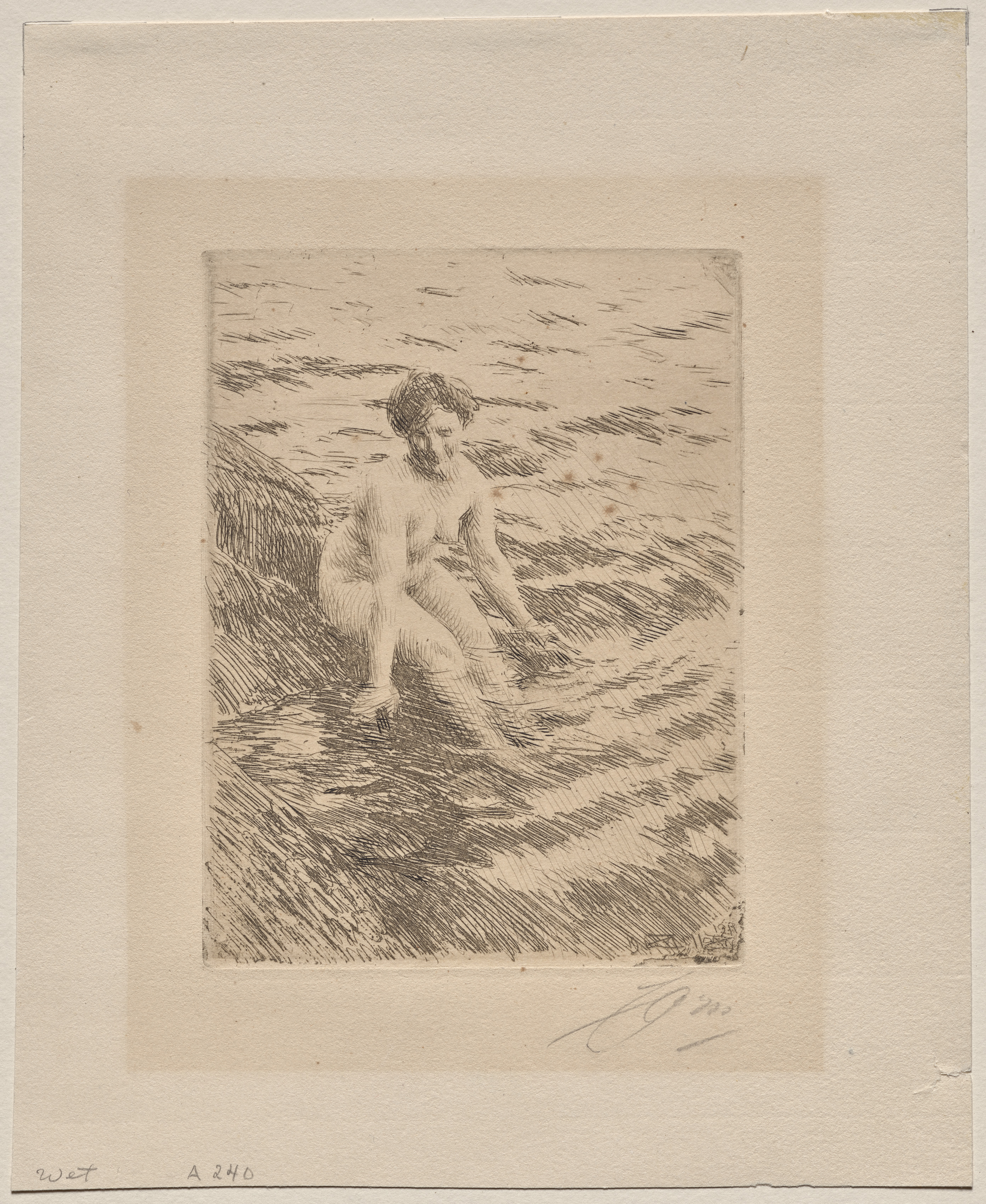 Anders Zorn, Wet