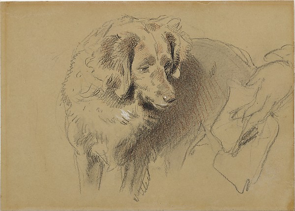 Sir Edwin Henry Landseer, Study of a dog