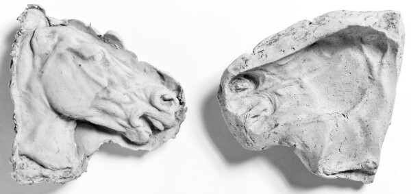 Unknown, Mold of the Right Side of a Horse's Head