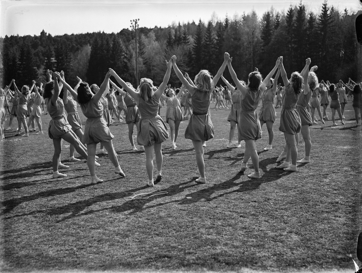 Paul Sandberg, “The female mass squad’s show was marked by precision and grace” at Uppland’s Gymnastics Federation’s 25th anniversary at the Students' Sports venue