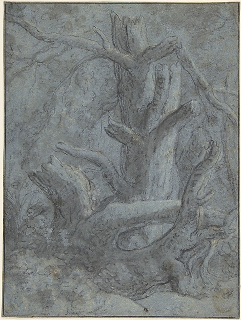 Simon de Vlieger, Study of a Blasted Tree Trunk and Branches