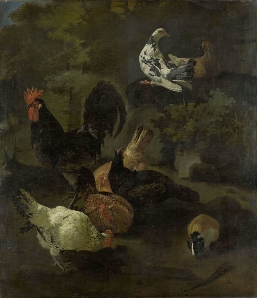 Jacomo Victors, A Cock, Hens, Doves, and a Marmot
