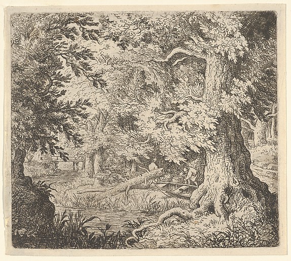 Allart van Everdingen, The Brook in the Wood