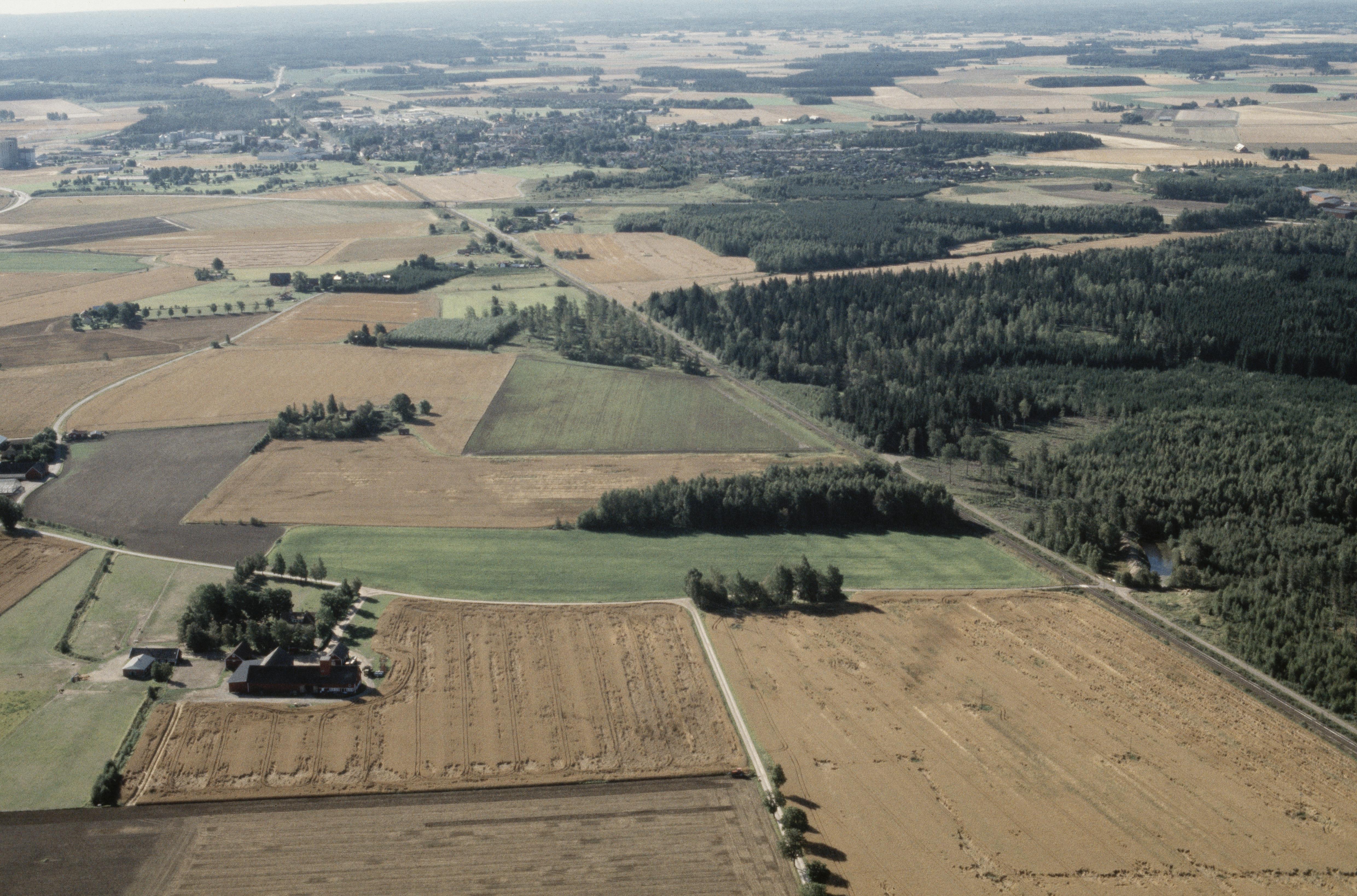 Jan Norrman, Allhelgona 53