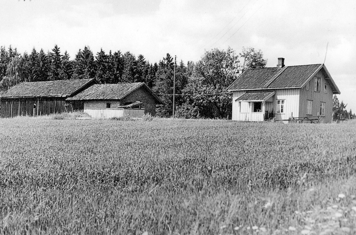 Ukjent, Klukstuen, husmannsplass.
