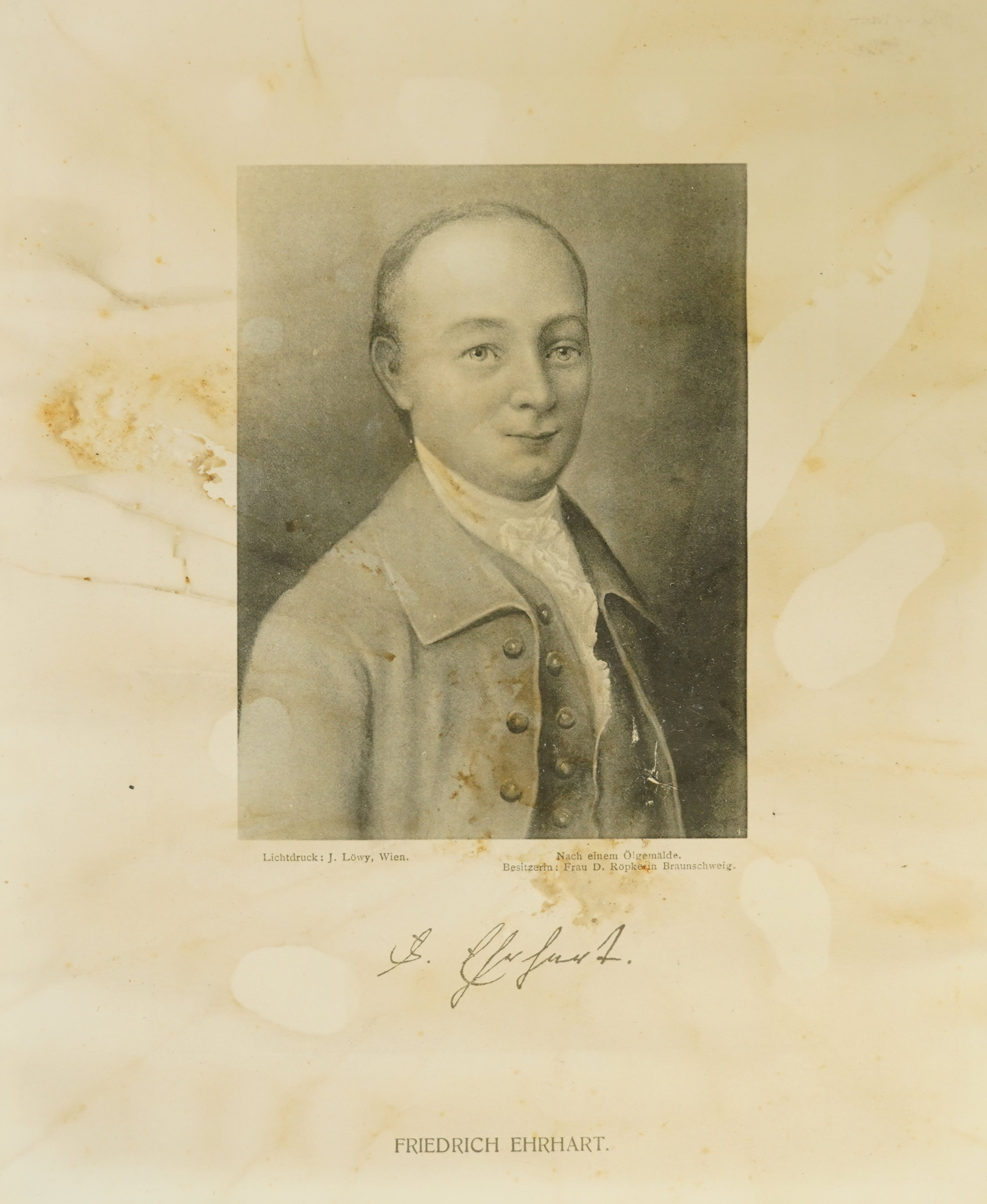 Josef Löwy, Porträt von Jakob Friedrich Ehrhart