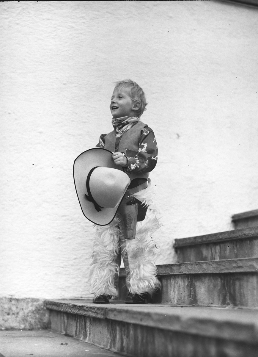 Anders Beer Wilse, Prot: Harald cowboy
