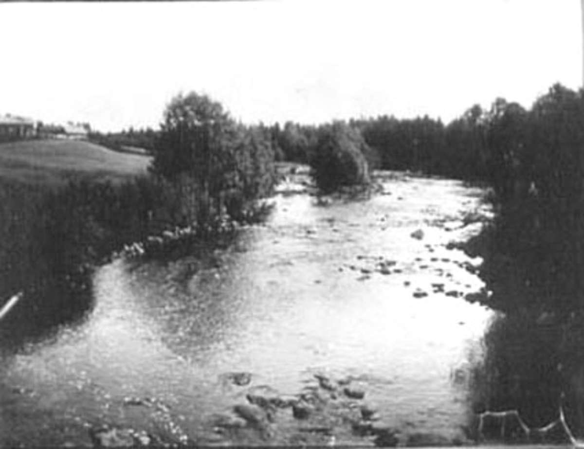 Anno Domkirkeodden, OVERSIKT SVARTELVA, ROMEDAL