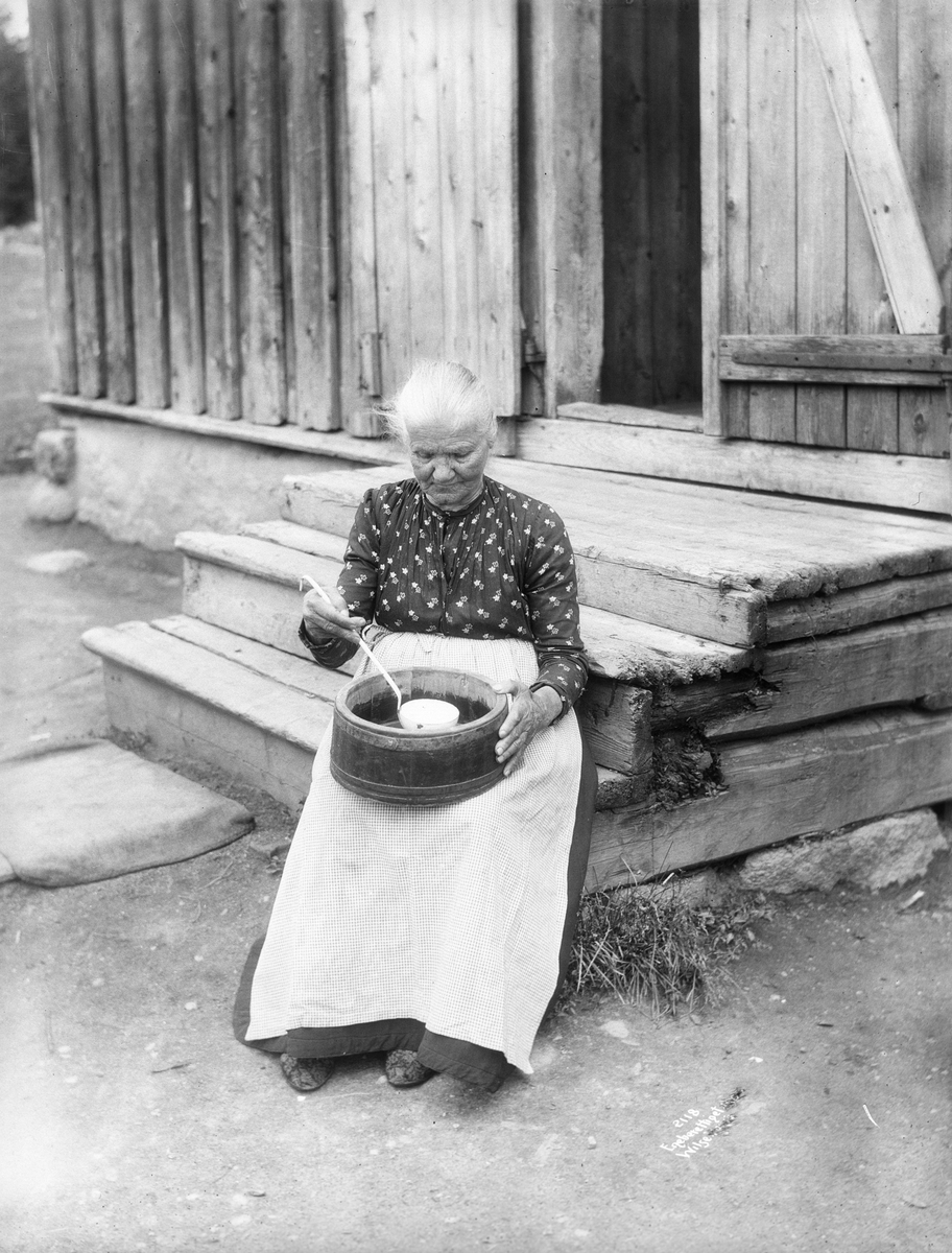 Anders Beer Wilse, Prot: Genere - Gamlemor med kolle 13. Juli 1903