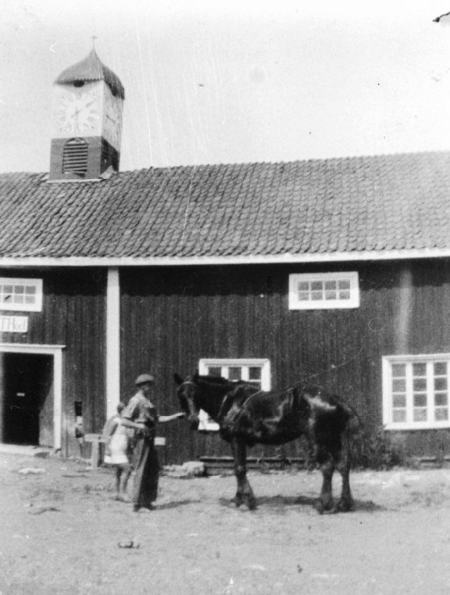 Anno Domkirkeodden, Mann med hest foran det gamle stabburet på Hovinsholm gård, Helgøya.