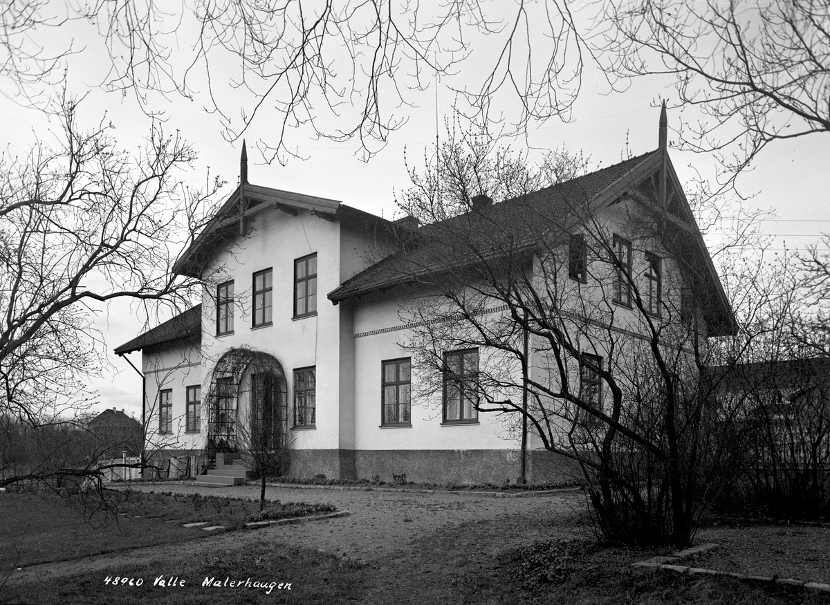 Anders Beer Wilse, Prot: Valle (Malerhaygen)