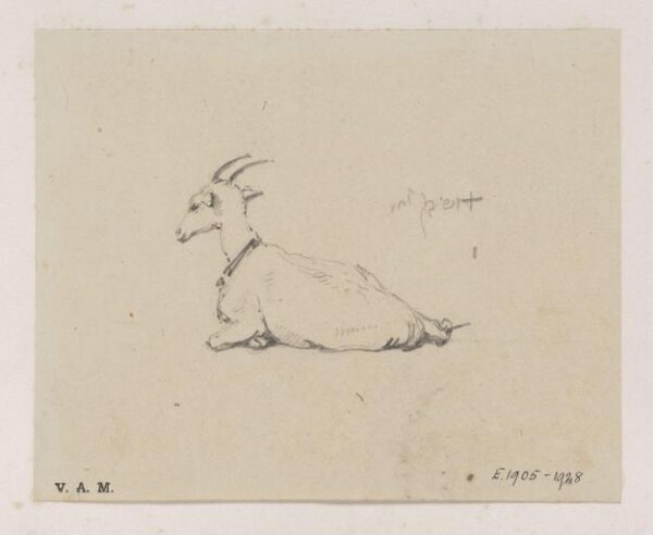 George Chinnery, A reclining goat
