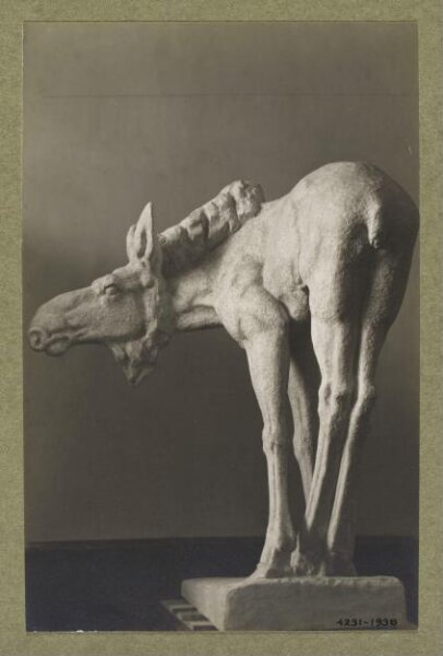 unknown, Photograph