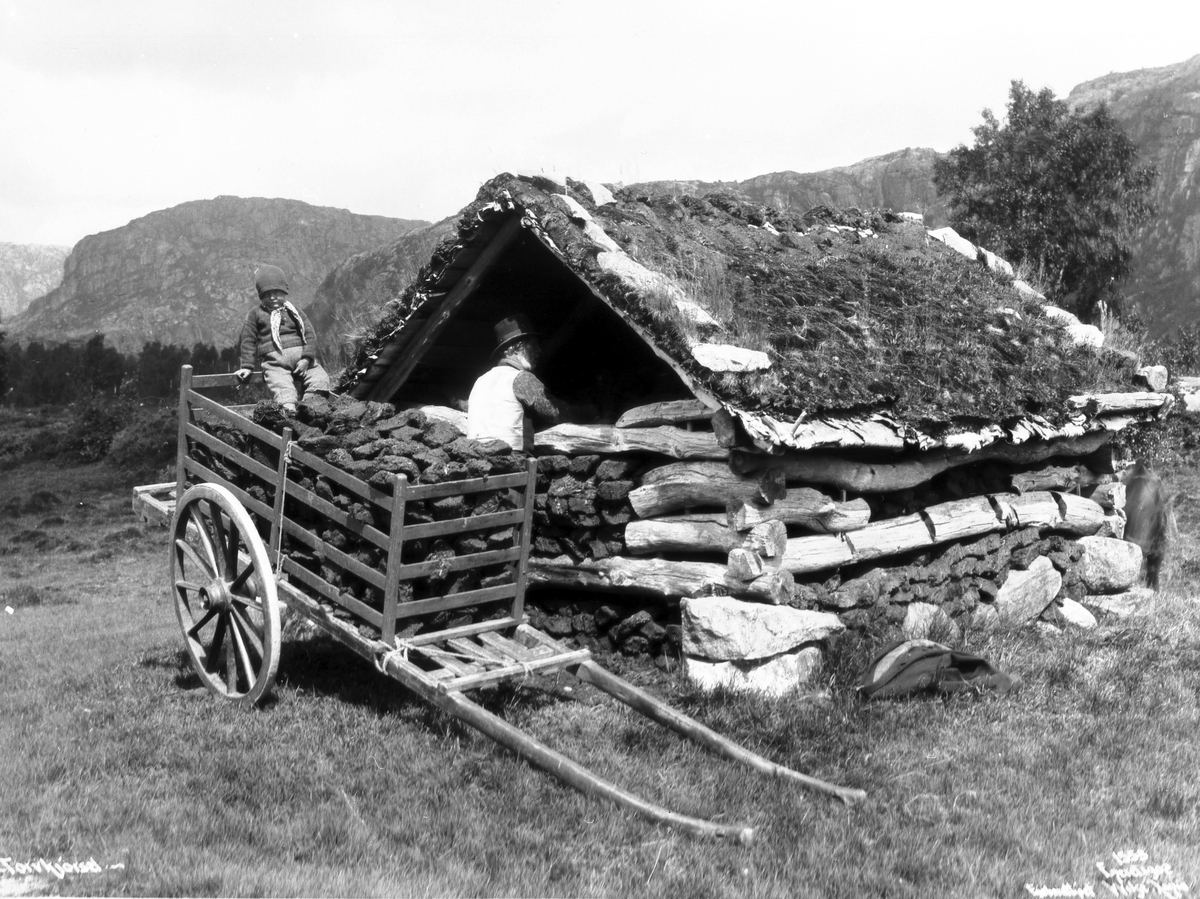 Anders Beer Wilse, Prot: Hæskestad - Torvhytte 25. Juli 1902