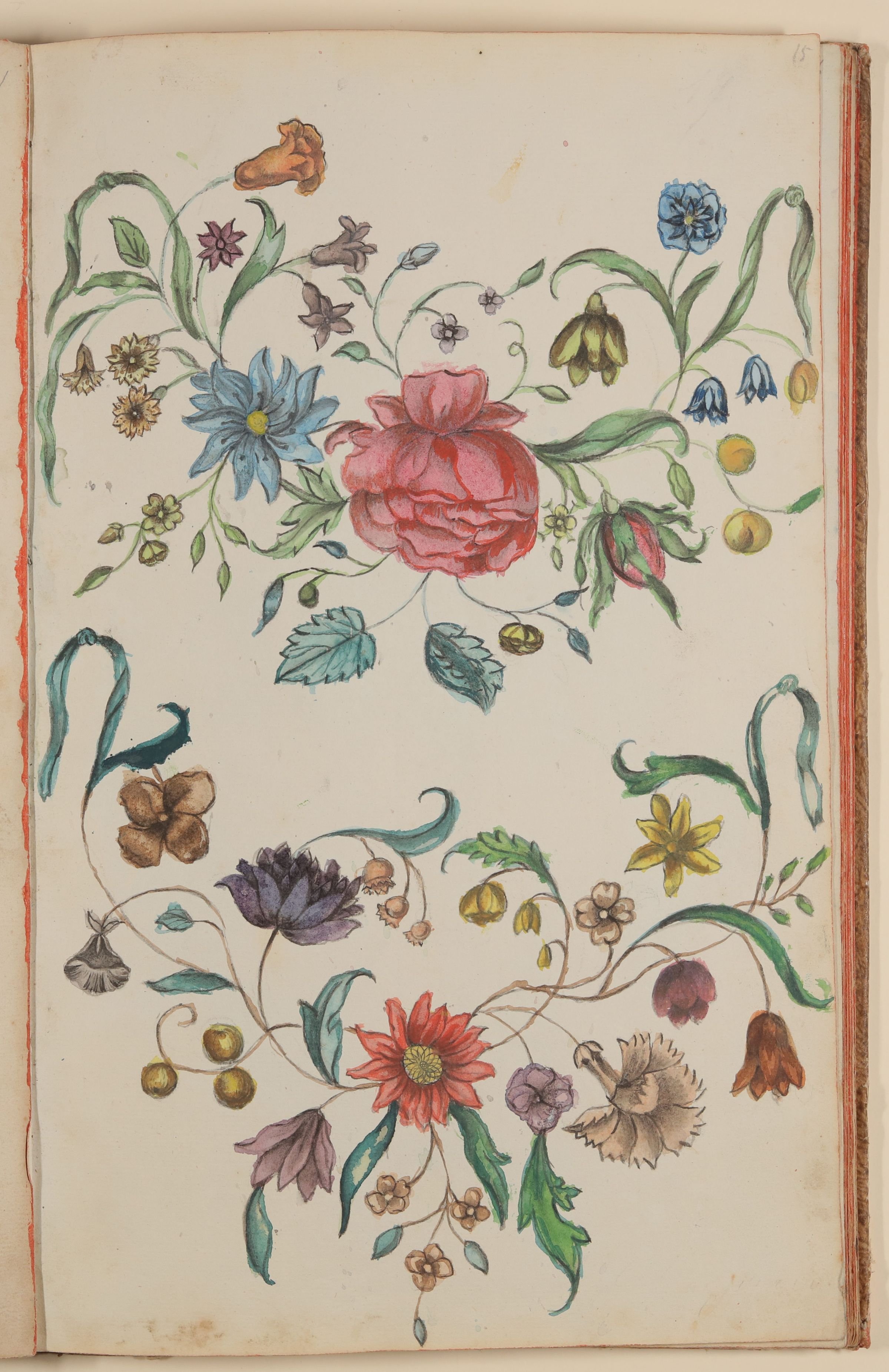 Marianne Franziska Seiffert von Klettenberg, Zwei Blumenranken [aus einem Skizzenbuch der Marianne Franziska Seiffert von Klettenberg]