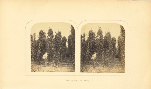 Unknown, Hop-Picking in Kent