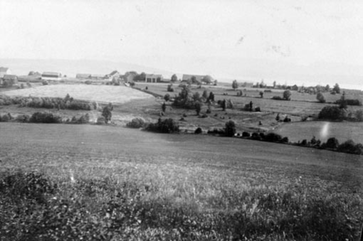 Anno Domkirkeodden, Gardsbruk. De tre Ousdal gardene på Nes, Hedmark.