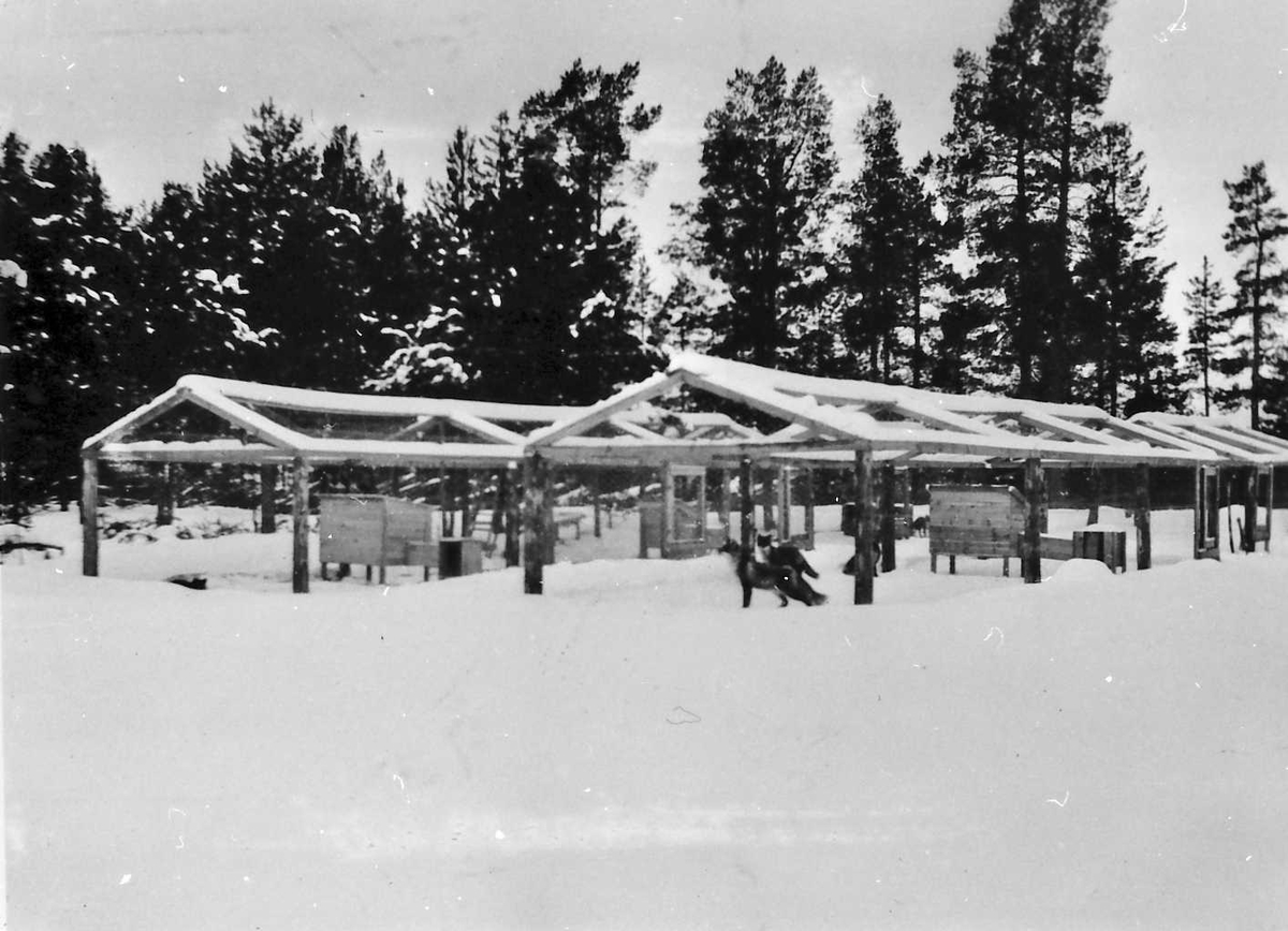 Jan Erik Øvergård, Revfarm.