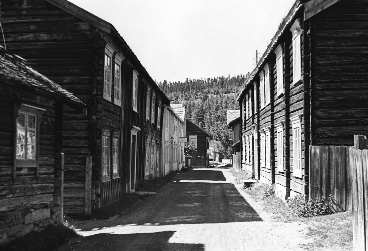 Anders Beer Wilse, Prot: Tolga Röros