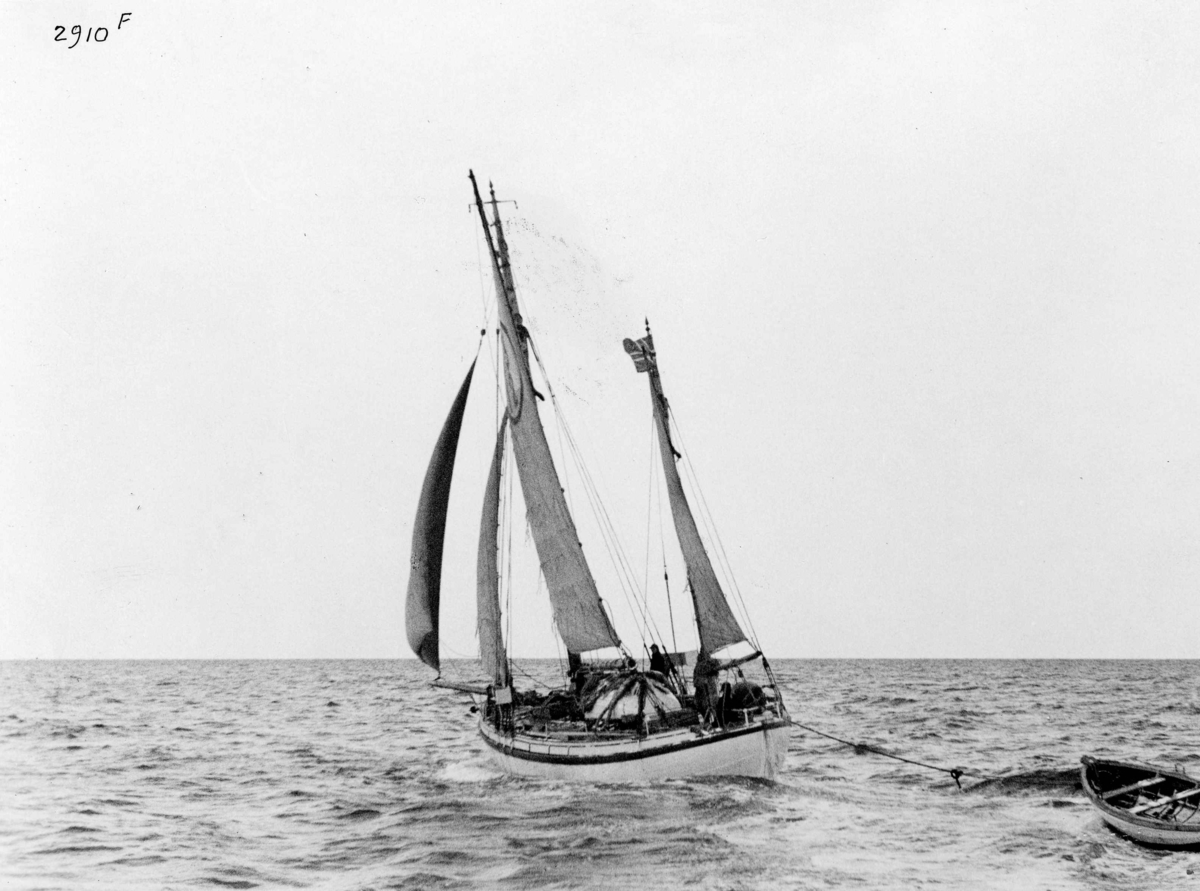 Anders Beer Wilse, Redningsskoyter