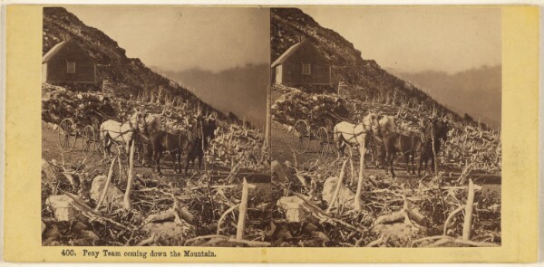 Edward Bierstadt, Pony Team coming down the Mountain.
