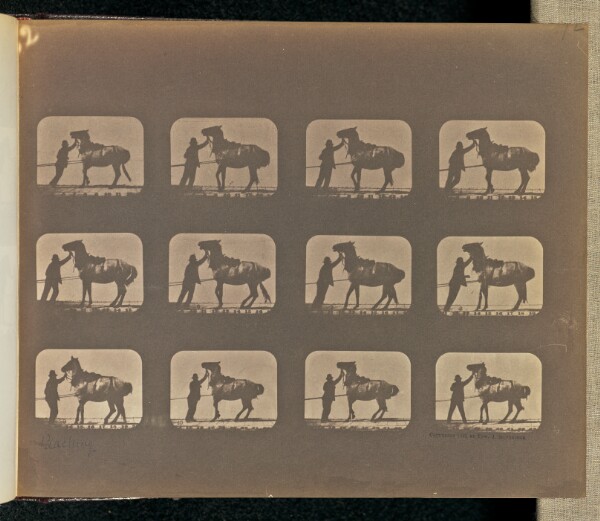 Eadweard J. Muybridge, Backing