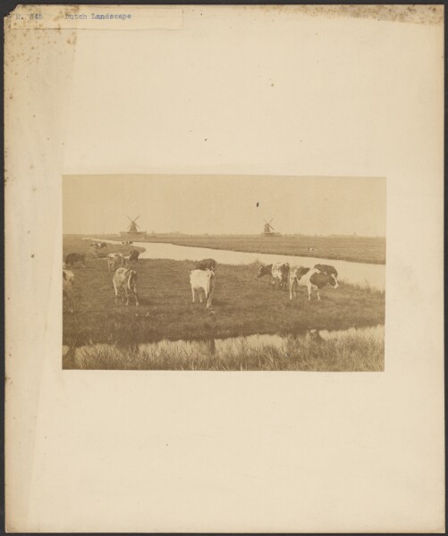 Unknown, [Landscape with cows and windmills]