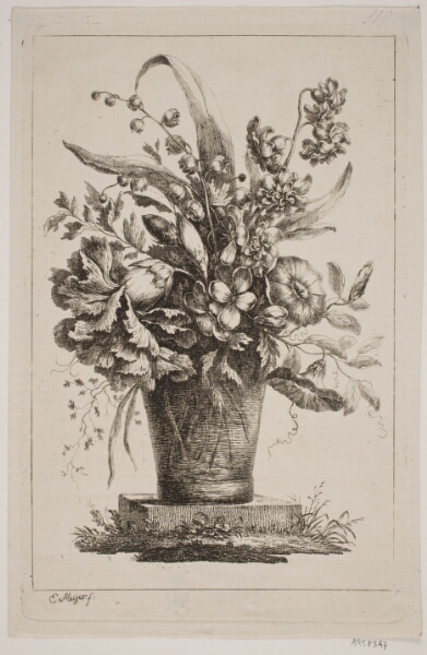 Elias Meyer, Et Glas med Blomster, Convolvolus, Nelliker m. v.