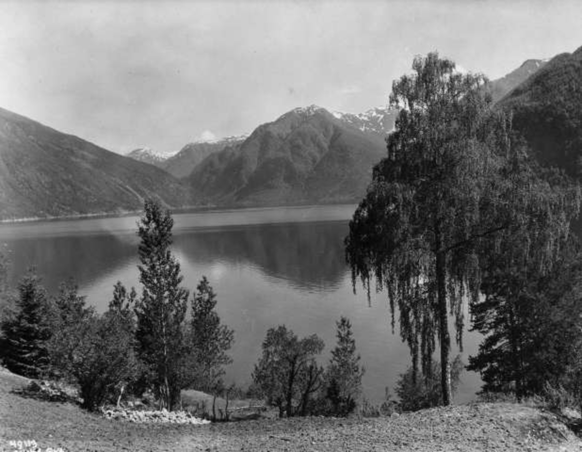 Anders Beer Wilse, -6571