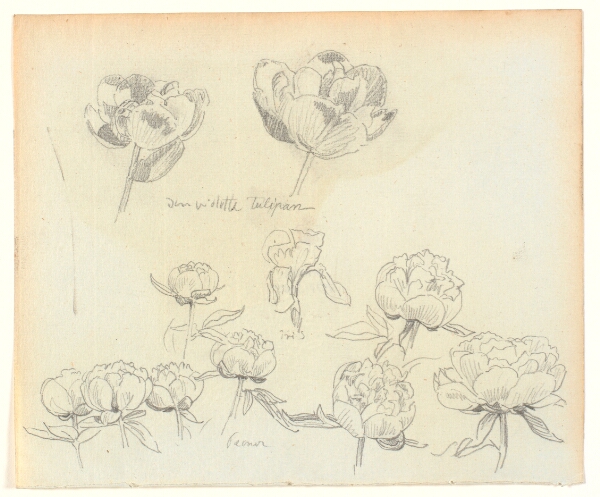 Joakim Skovgaard, Blomsterstudier