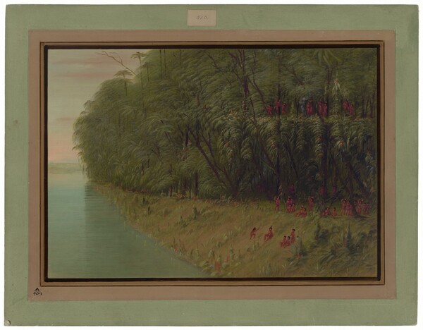 George Catlin, An Amazon Forest - Looking Ashore