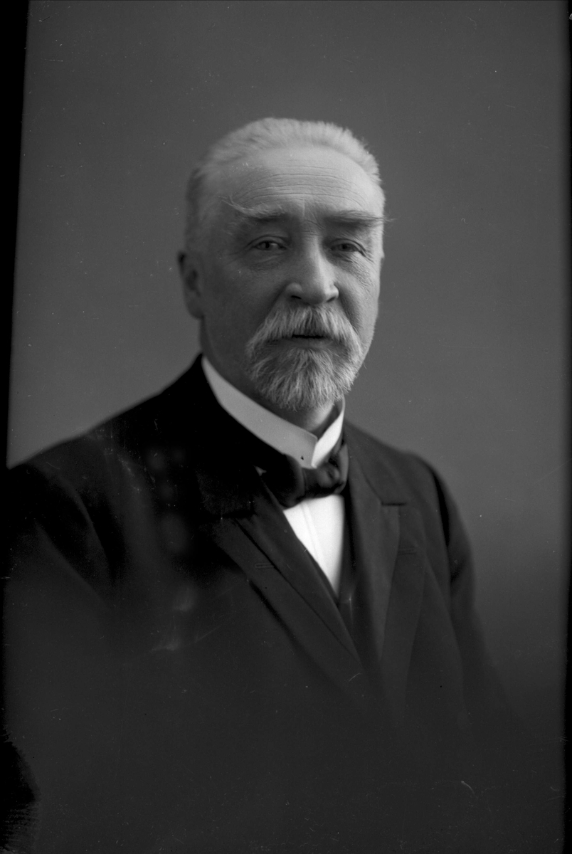 Gustav Borgen, NFB.15562