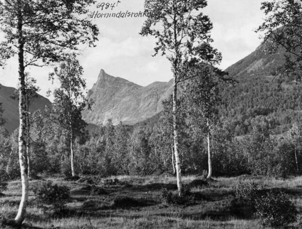 Anders Beer Wilse, -6781
