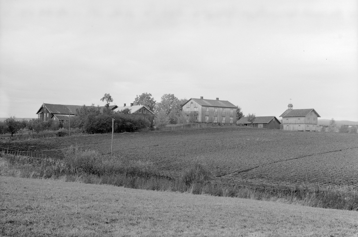 Anno Domkirkeodden, EKSTR: GARDSTUN, GRIMS-KROKSTI, LØTEN. Se Løtenbok bind 1, fra 1949side 572